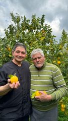 Gelato Cesare e Bergamotto di Fortugno un Connubio di Tradizione e Innovazione