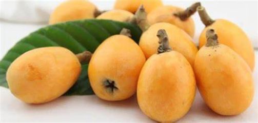 LA NESPOLA  IL NUOVO SORBETTO CON UNA RICETTA DA PREPARARE ANCHE A CASA VOSTRA